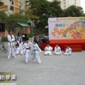 snapshot20110501174506