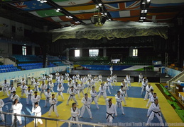 韓國跆拳道國際教練課程