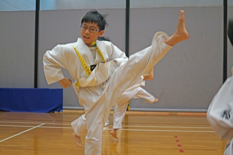 DSC02226