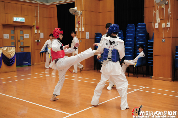 DSC 7375 (507 visits) DSC 7375