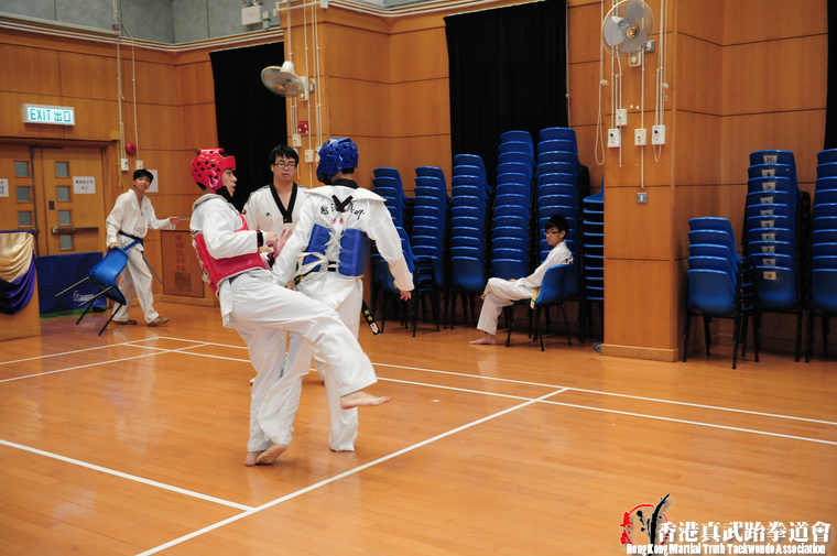 DSC 7374 (443 visits) DSC 7374