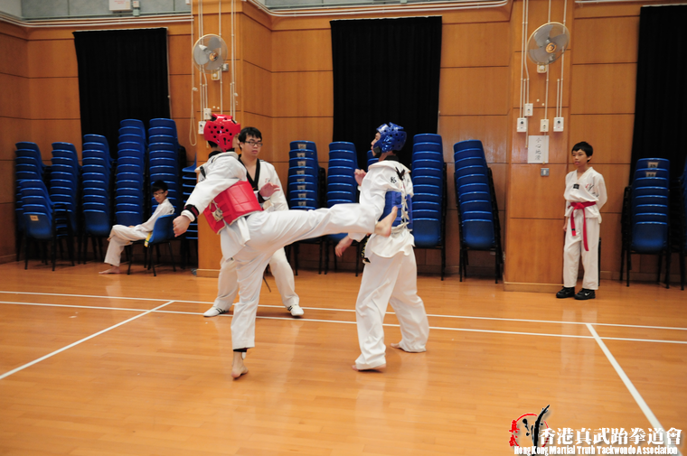 DSC 7376 (537 visits) DSC 7376