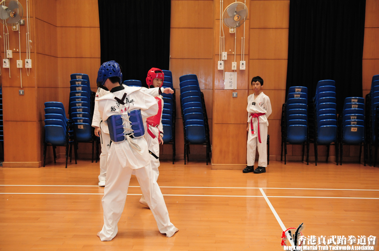 DSC 7379 (500 visits) DSC 7379