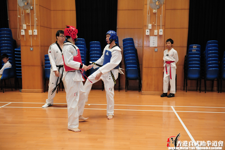 DSC 7377 (485 visits) DSC 7377