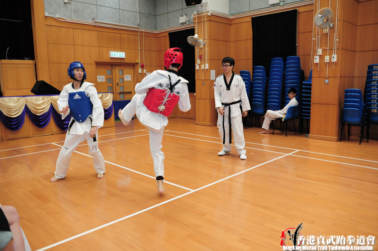 DSC 7380 (437 visits) DSC 7380