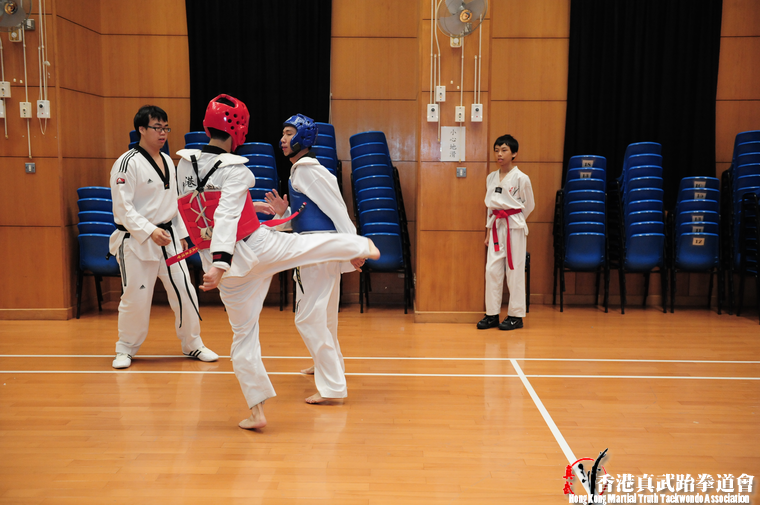 DSC 7378 (503 visits) DSC 7378