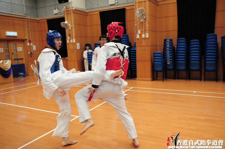 DSC 7384 (515 visits) DSC 7384