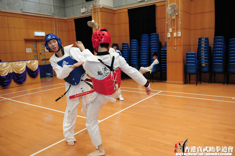 DSC 7383 (514 visits) DSC 7383