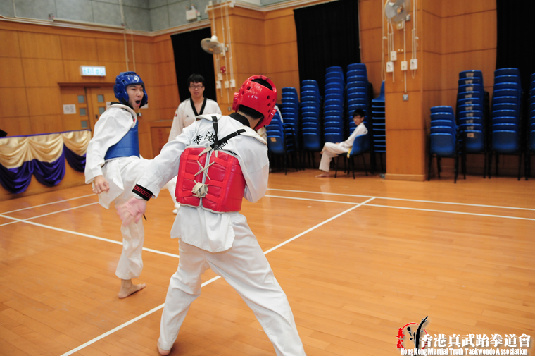 DSC 7382 (518 visits) DSC 7382