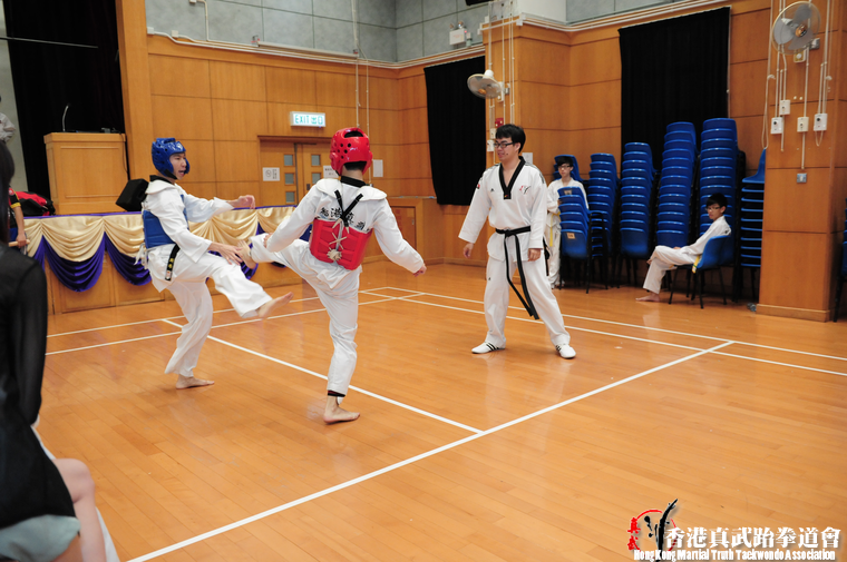 DSC 7381 (519 visits) DSC 7381