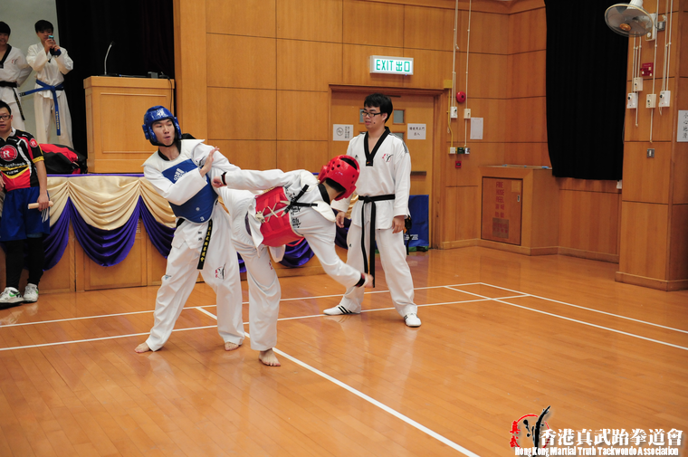 DSC 7385 (572 visits) DSC 7385